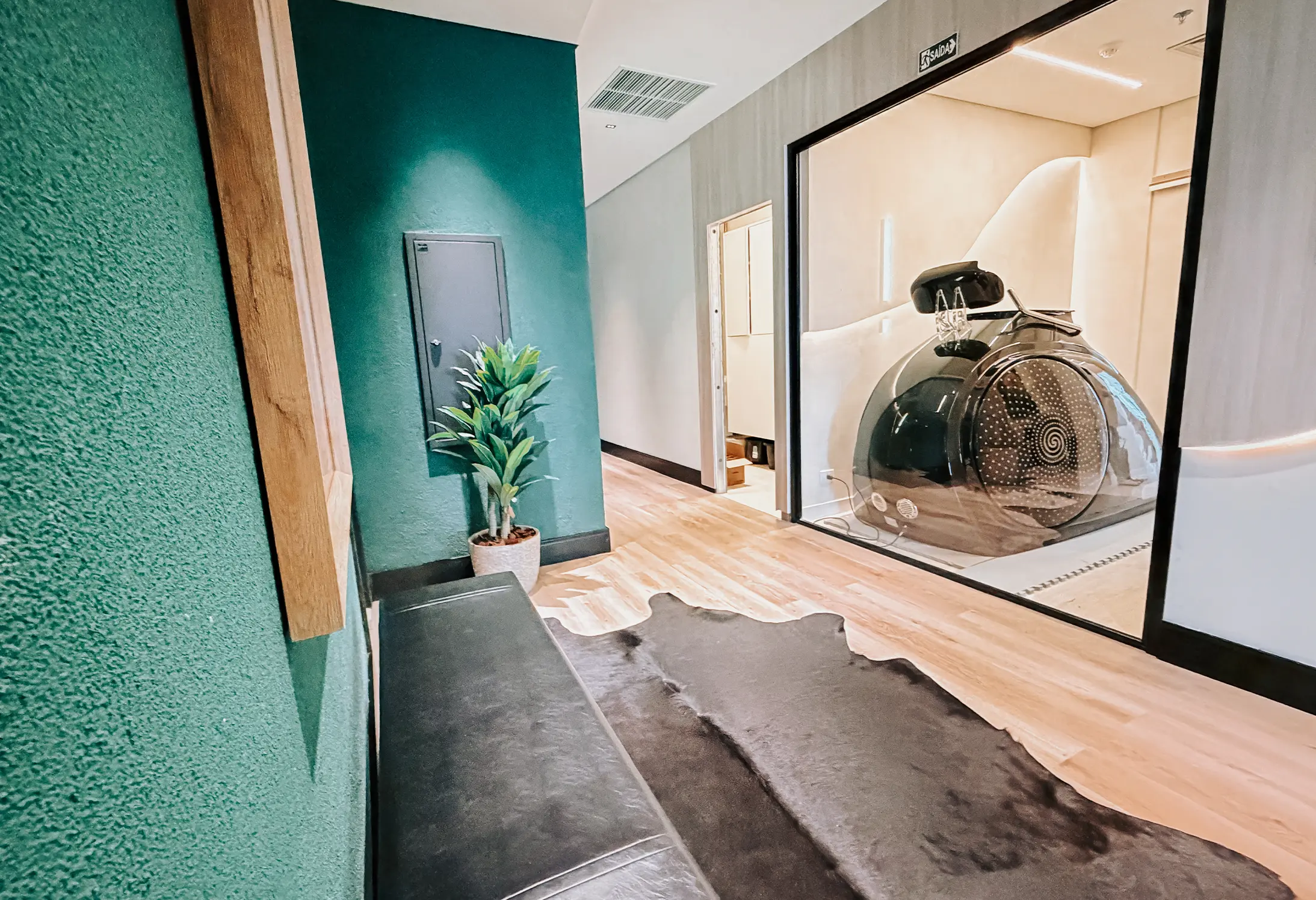 Corredor com parede verde, planta em vaso, banco preto e vista para sala com equipamento moderno.